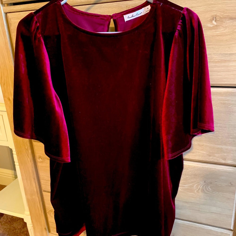 Maroon velvet top